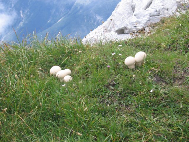 takolepaizgledajogobena2100m.jpg