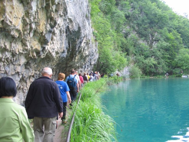 takolejeizgledalanaakolonaobjezerumilanovac.jpg