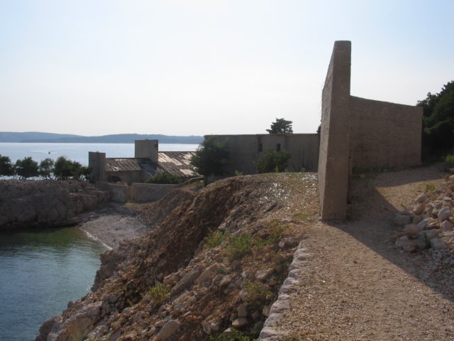 zanimivaplaacelozagoliotok.jpg