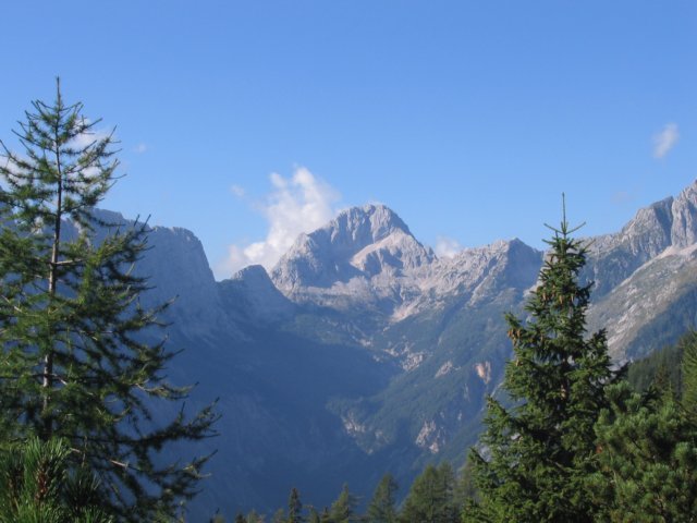 prednamisejebahalbavkigrintavec.jpg