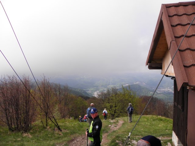 vozadjuhrastnik.jpg