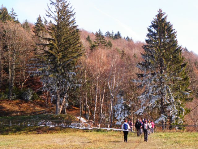 ledinsonce.jpg