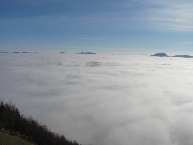 photo.jpg