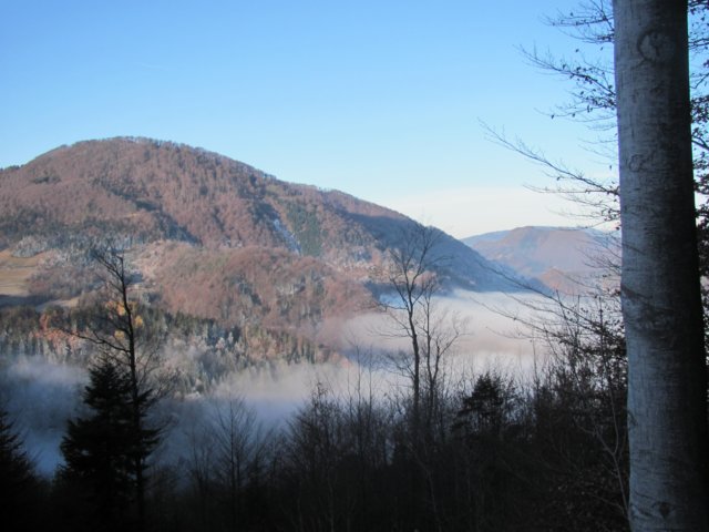 poglednamrzlico.jpg