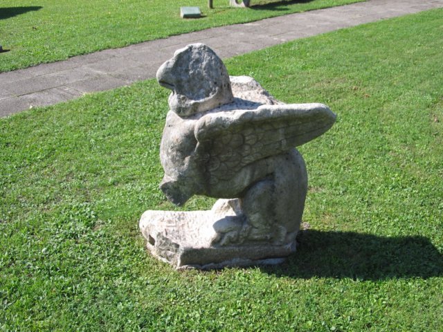 grifon.jpg