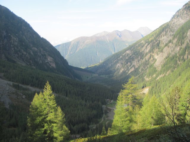 poglednazajjebilkrasen.jpg