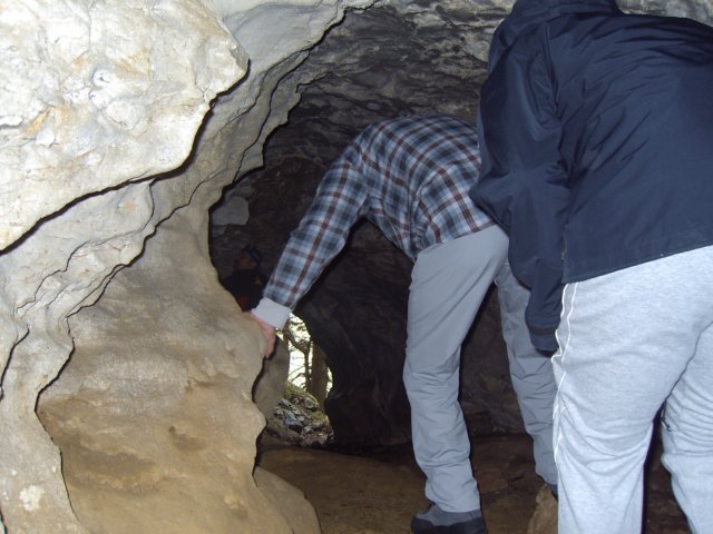 sooilismosezgibanjemvjami.jpg