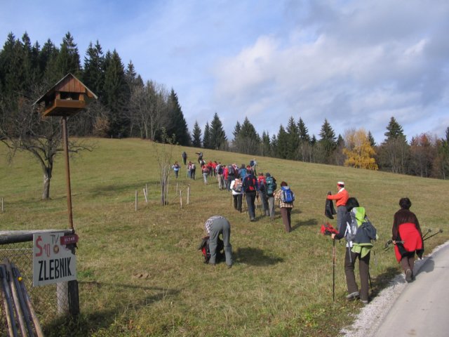 zadnjidelpotiveinomaskozigozdjebilnajboljnaporen.jpg